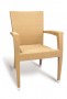 GAR Asbury Arm Chair-Resin Natural by GAR Products