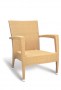 Asbury Lounge Chair-Resin Natural by GAR Products