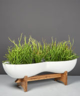Timbrell Modern Outdoor Restaurant Planter