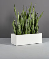 Kiel Low Rectangular Outdoor Planter