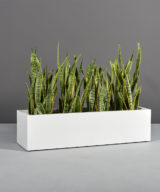 Montserrat Rectangular Outdoor Restaurant  Planter