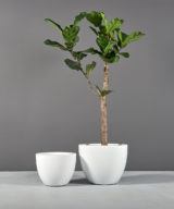 Salzburg Tapered Round Outdoor Restaurant Planter