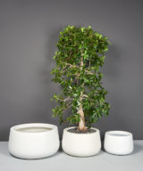 Short Hayden Tapered Round Outdoor Restaurant Planter