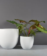 Alzira Bowl Outdoor Restaurant Planter