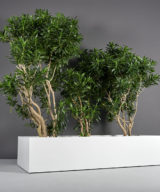 Selenge Extra Wide Large Rectangle Outdoor Restaurant Planter