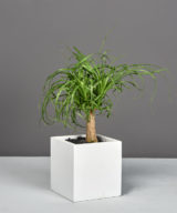 Tonto Small Cube Outdoor Restaurant Planter