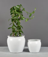 Shanghai Fishbowl Outdoor Restaurant Planter