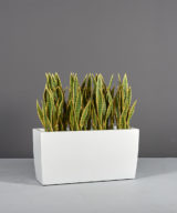 Panama Rectangular Tapered Outdoor Restaurant Planter