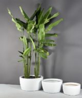 Casablanca Outdoor Restaurant Bowl Planter