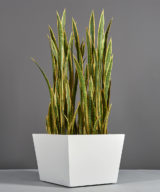 Bergen Tapered Square Outdoor Restaurant Planter
