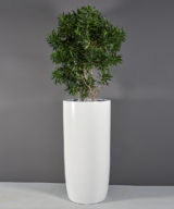 Congress Tall Extra Large Outdoor Restaurant Planter