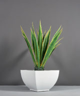 Kathryn Square Tapered Outdoor Restaurant Planter