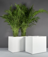Brisbane Wide Rectangular Outdoor Restaurant Planter